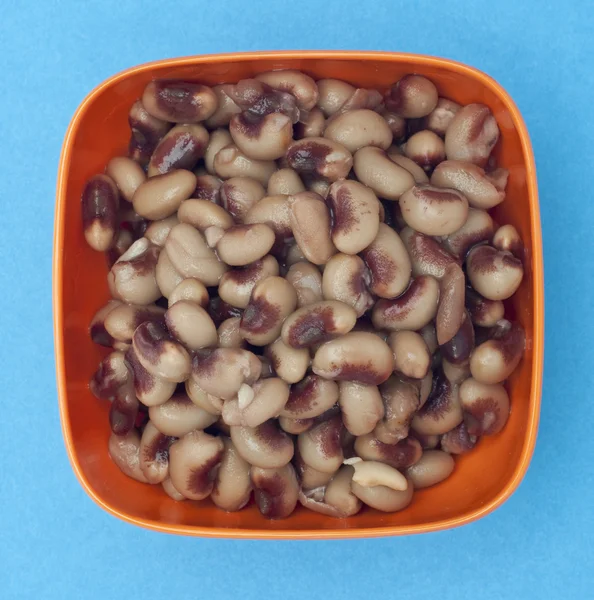 Bowl of Canned Black Eyed Peas — ストック写真
