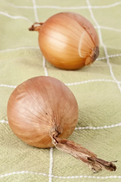 Küçük gurme beyaz soğan — Stok fotoğraf