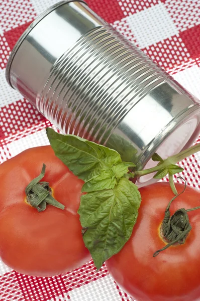 Zajmujący się produkcją konserw zupa pomidorowa — Zdjęcie stockowe