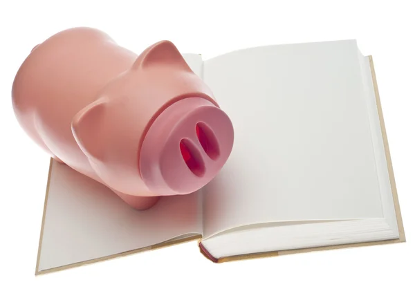 Conceito Economia Educação Com Piggy Bank Livro Aberto Isolado Branco — Fotografia de Stock