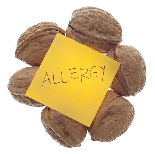 Предупреждение Аллергии Орехи Свежими Грецкими Орехами Изолированными Белом Вырезкой — стоковое фото