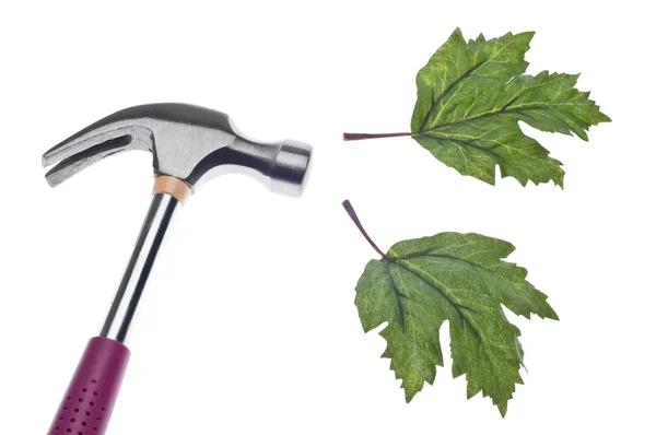Green Building Concept Hammer Green Leaves — Stock Photo, Image