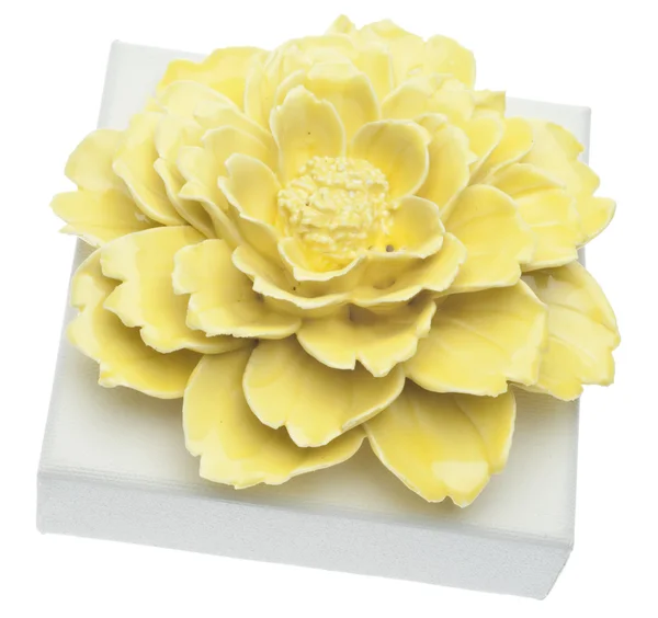 Flor Amarilla Decorativa Sobre Lienzo Blanco Concepto Arte — Foto de Stock