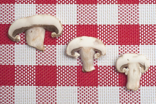 Button Mushroom Food Concept Red Checkered Background — Stock Photo, Image