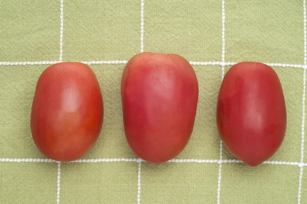 Trio av roma tomater罗姆西红柿的三重奏 — 图库照片