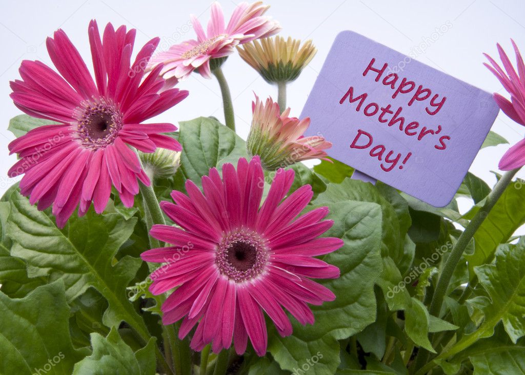 Happy Mothers Day with Flowers and Sign with Text.