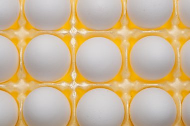 pastel renkli arka plan Paskalya kavramı üzerinde bir yuvadaki yumurta.