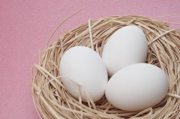 Eieren in een nest — Stockfoto