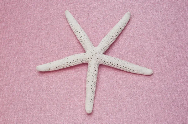Starfish on Pink — Stock Photo, Image