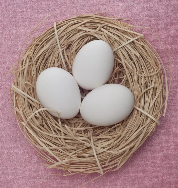 Pastel Renkli Arka Plan Paskalya Kavramı Üzerinde Bir Yuvadaki Yumurta — Stok fotoğraf