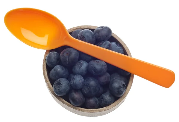 Blueberry Harvest — Stock Photo, Image
