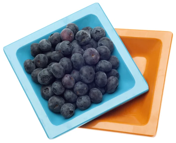 Dish of Fresh Blueberries — Stock Photo, Image