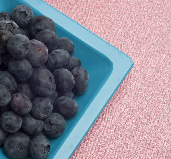 Close Up of Dish of Fresh Blueberries on Pink — Stock Photo, Image