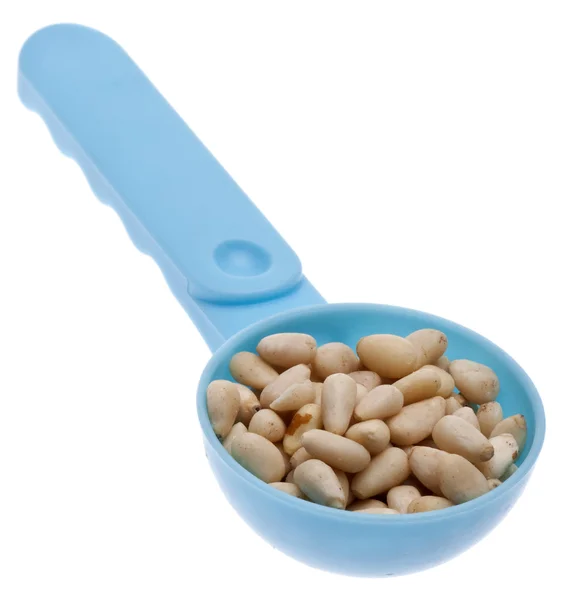 Pine Nut Seeds in a Blue Spoon — Stock Photo, Image