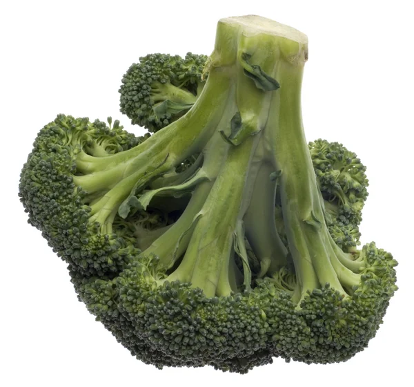 Brócolos isolados — Fotografia de Stock