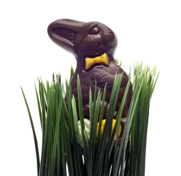 クリッピング パスを白で隔離される緑の草にお菓子のミルク チョコレート イースターのウサギ — ストック写真