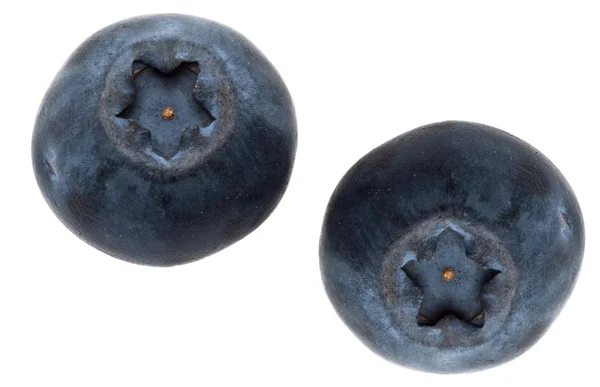 对的新鲜蓝莓隔离上白色与剪切路径 — 图库照片