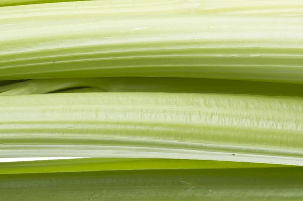 Detail čerstvé vybral celeru — Stock fotografie