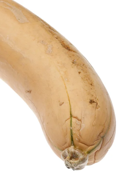 Gequetschter Butternusskürbis Isoliert Auf Weißem Beschädigtem Gemüse — Stockfoto