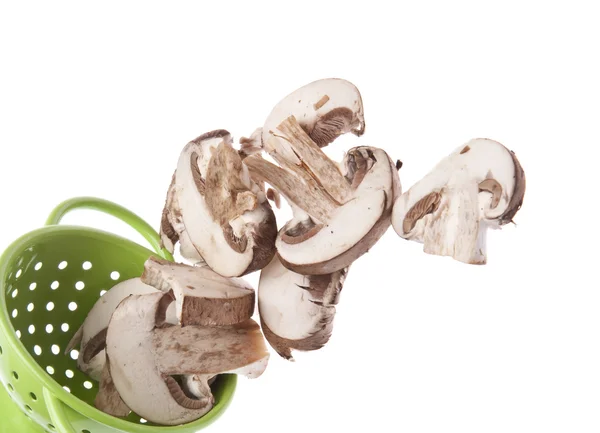 Verse champignons segmenten grens — Stockfoto