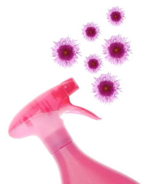 Umweltfreundliche Reinigungsflasche, die Blumen sprüht — Stockfoto