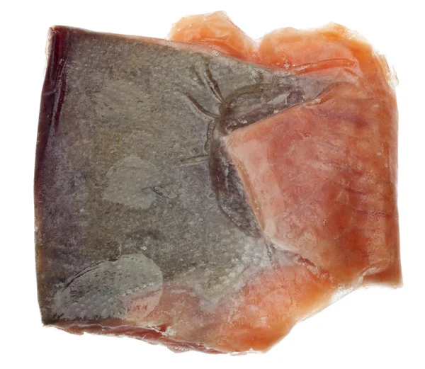 Stuk van bevroren zalm vissen — Stockfoto