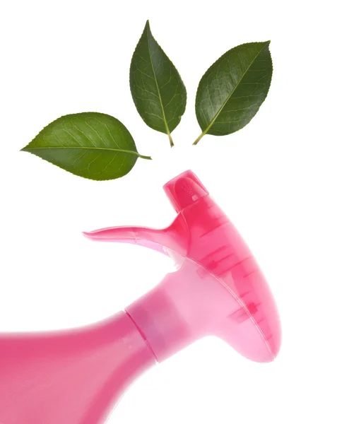 Environmentally Friendly Cleaning Bottle Spraying Leaves — Stock Photo, Image