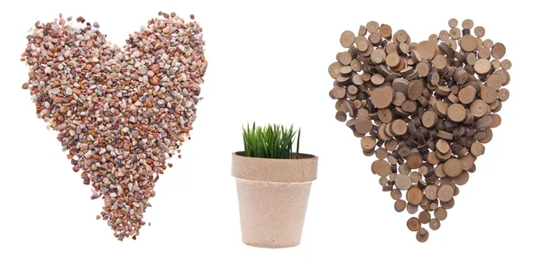 Environment Concept Hearts Rock Tree Pot Green Grass Growing Isolated — Stock Photo, Image