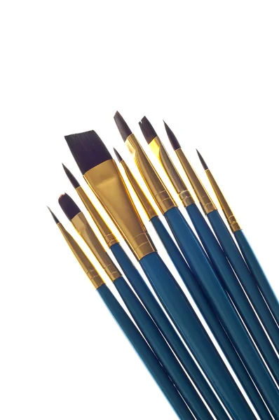 Variety of Blue Paintbrushes — Stock Photo, Image