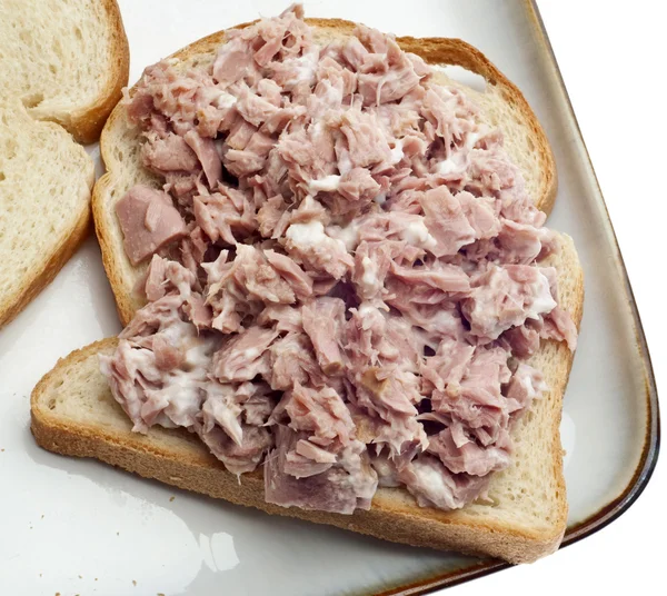 Otwórz kanapka sałatka tuńczyka twarz — Zdjęcie stockowe