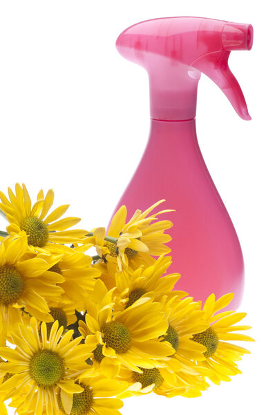 Естественная весенняя уборка
