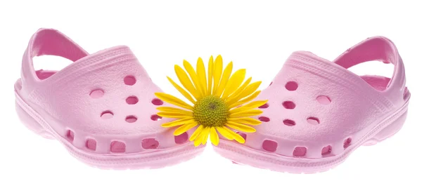 Pink Garden Clogs con Margarita —  Fotos de Stock