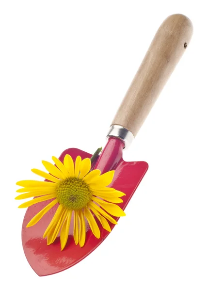 Red Garden Shovel with Daisy — Stock Photo, Image