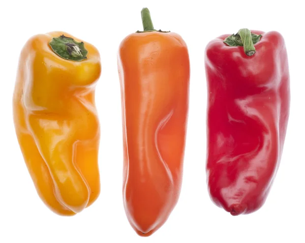 Three Colors of Vibrant Peppers — Stock Photo, Image