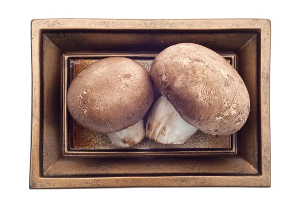 Paar Pilze auf einer goldenen Schüssel — Stockfoto