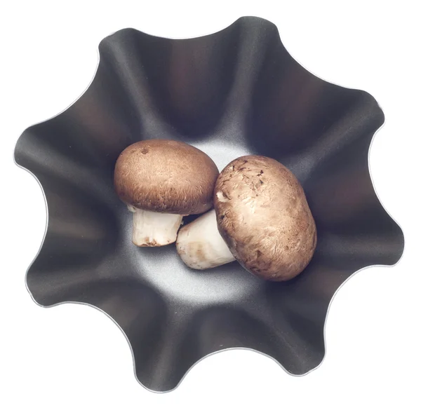 Mushrooms in a Modern Metal Bowl — Stock Photo, Image