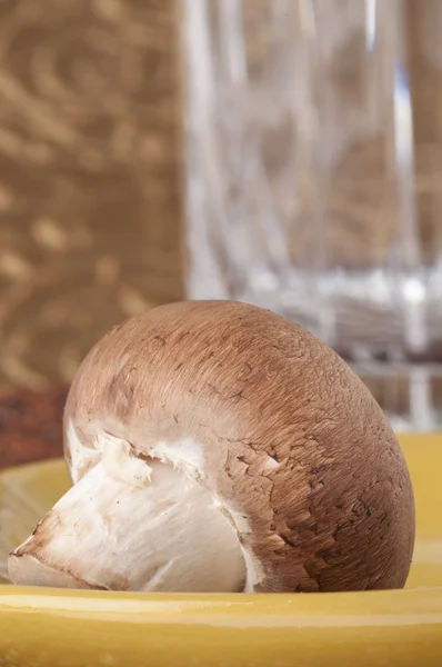 Detalhe do cogumelo fresco — Fotografia de Stock