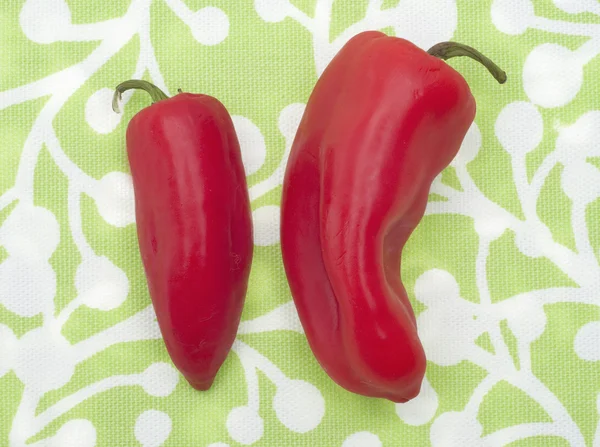 Modern Vibrant Peppers — Stock Photo, Image