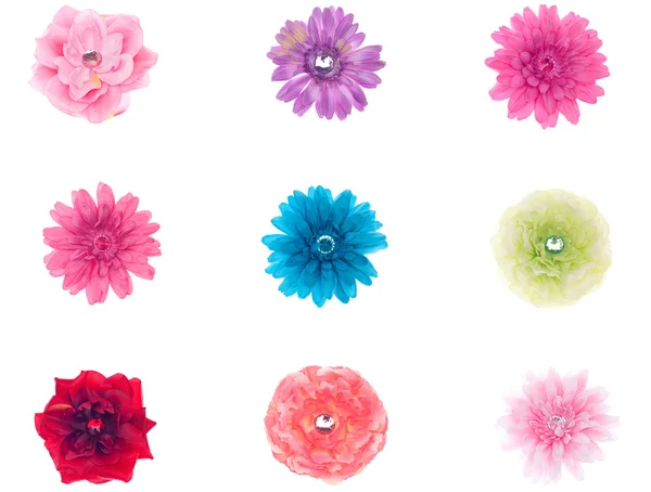 Collectie van bloemen — Stockfoto