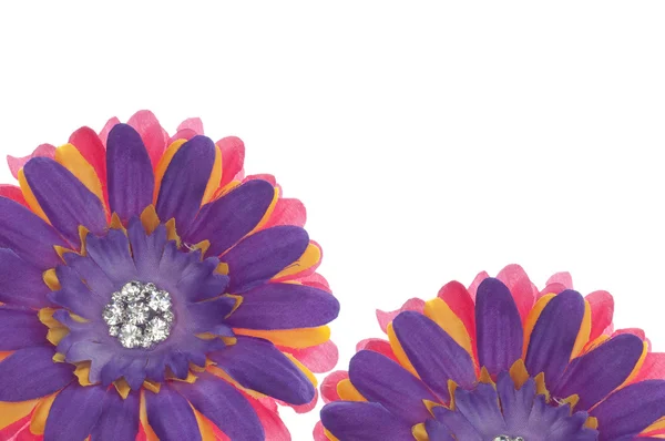 Kolekcja kwiatów jedwabiu — Zdjęcie stockowe