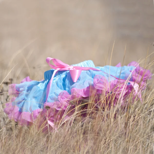 stock image Tutu in Ocean Grass