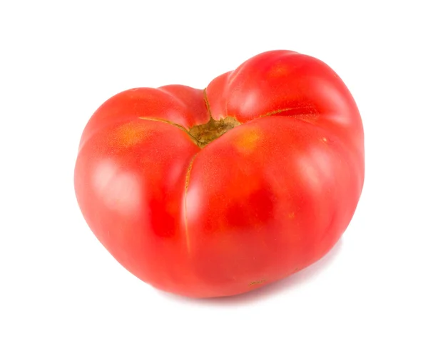 Large tomato — Stock Photo, Image