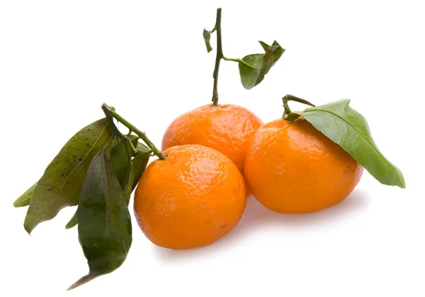 stock image Three tangerines