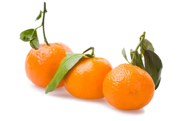 stock image Three tangerines