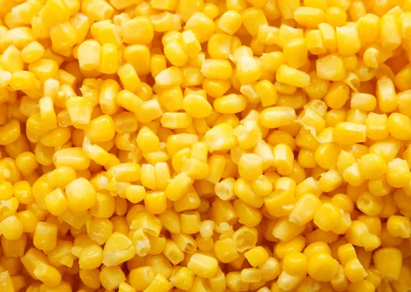 玉米背景 免版税图库照片