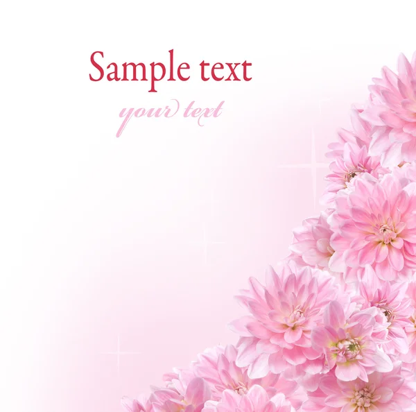 stock image Floral border with pink Dahlia