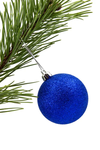 Ветка сосны с голубой Рождество безделушка — стоковое фото