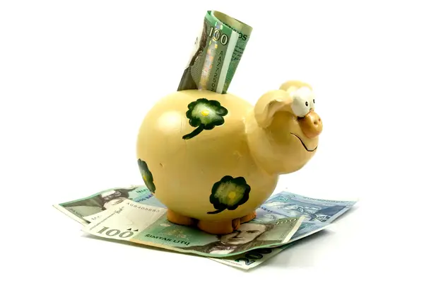 Piggy bank en bankbiljetten — Stockfoto
