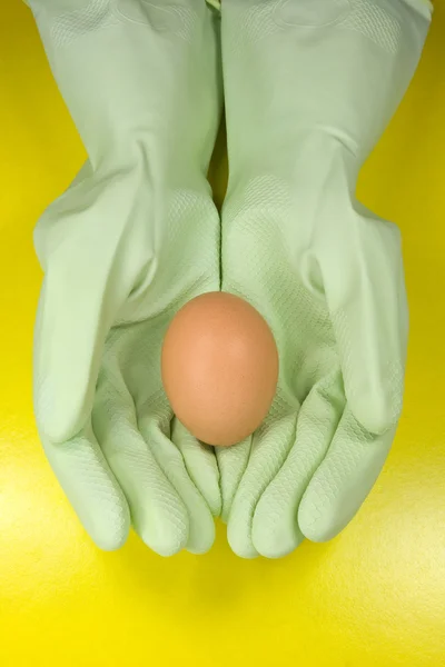 Lastik Eldivenli Ellerinde Kahverengi Yumurta — Stok fotoğraf