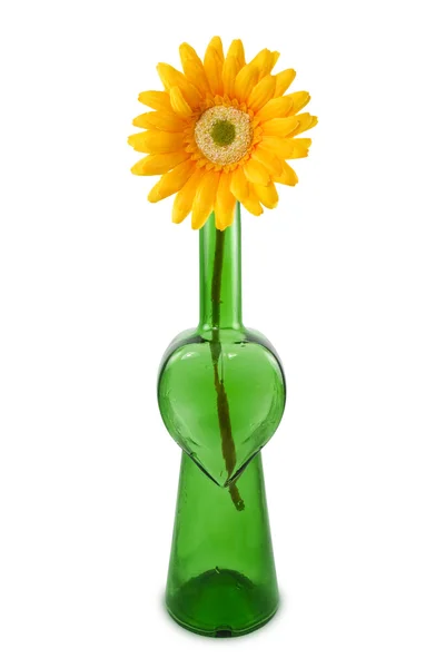 Blumen Sie Einer Flasche Mit Herzform Isoliert Auf Weiß — Stockfoto